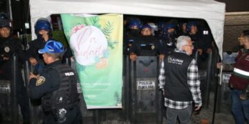 Tlalpan clausura 62 chelerías ilegales: Alfa González