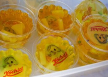 Crea Xóchitl Gálvez caricatura en gelatinas y aguas frescas
