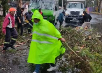 Atiende Coyoacán emergencia por lluvias con ráfagas de viento atípicas