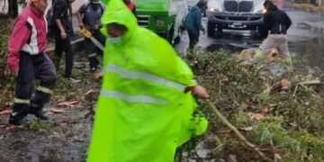 Atiende Coyoacán emergencia por lluvias con ráfagas de viento atípicas