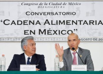 Salvador Guerrero Chiprés, presidente del Consejo Ciudadano de la Ciudad de México, destacó las acciones durante la actual administración para combatir y erradicar diversos delitos que se cometían de manera cíclica al interior de la Central de Abasto de la CDMX, lo cual se debe replicar en otros lugares. FOTO: Consejo Ciudadano MX