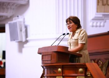 Destaca Morena avance del GCDMX en el combate a la tala ilegal de árboles