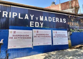 Cierran 15 madererías ilegales en CDMX: Batres