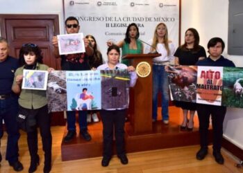 Torturan y matan a perros en bosque de Xochimilco: Oposición