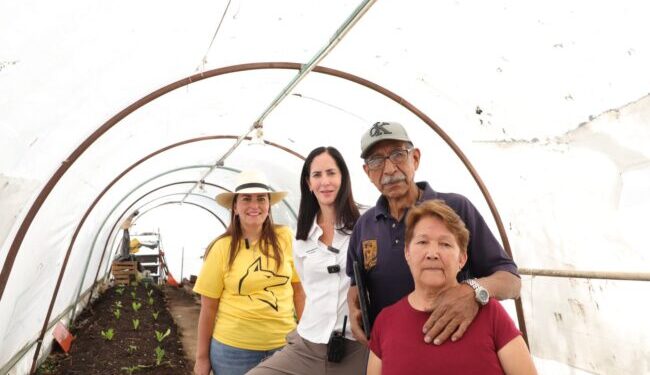 Con los huertos comunitarios e invernaderos de la Alcaldía, se favorece la economía de grupos vulnerables: Lía Limón