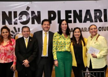 Se requiere un secretario de Seguridad de tiempo completo, no un aspirante a jefe de Gobierno: Lía Limón