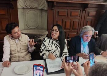 «Voy por la Cuauhtémoc»: Silvia Sánchez Barrios