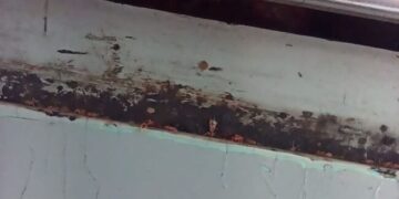 Denuncian  usuarios plaga  de chinches en Línea A del Metro