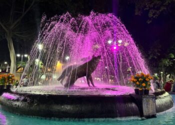 Coyoacán se ilumina de rosa por Día Mundial contra el Cáncer de Mama