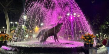 Coyoacán se ilumina de rosa por Día Mundial contra el Cáncer de Mama