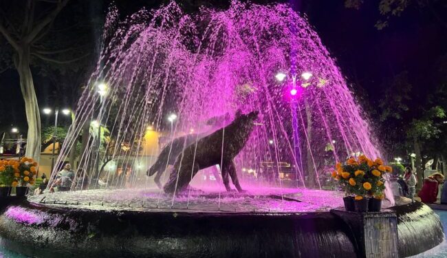 Coyoacán se ilumina de rosa por Día Mundial contra el Cáncer de Mama