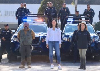 Saldo blanco esta Noche Buena en Álvaro Obregón: Lía Limón