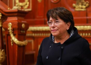 Aprobación de la licencia de paternidad por 45 días es un gran paso en la igualdad sustantiva en las tareas de cuidados: Martha Ávila