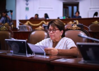 La aprobación de la licencia de Santiago Taboada no es competencia del TECM: Martha Ávila