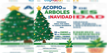 Continúa  el acopio de árboles de navidad en Coyoacán