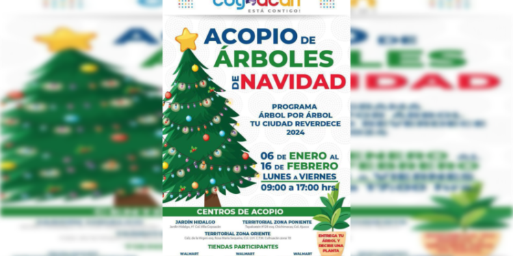 Continúa  el acopio de árboles de navidad en Coyoacán