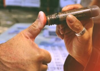 Camino a la elección de elecciones 2024