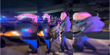 Negligencia de los gobiernos  de  Morena está costando vidas: Lía Limón