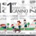 Invita Coyoacán al Primer Maratón Canino