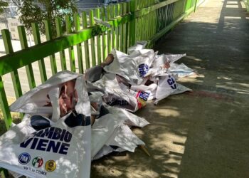 Batres ordenó quitar propaganda de Santiago: PAN