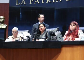 El Senado de la República manifestó su profundo rechazo frente a la posible entrada en vigor de la Ley Senatorial 4, conocida como SB4, actualmente suspendida por el Tribunal de Apelaciones del 5° Circuito de Estados Unidos, en Nueva Orleans, entretanto se lleva a cabo un litigio en su contra. FOTO: Senado