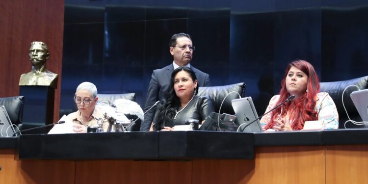 El Senado de la República manifestó su profundo rechazo frente a la posible entrada en vigor de la Ley Senatorial 4, conocida como SB4, actualmente suspendida por el Tribunal de Apelaciones del 5° Circuito de Estados Unidos, en Nueva Orleans, entretanto se lleva a cabo un litigio en su contra. FOTO: Senado