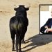 Periodista, cronista y crítico taurino, Édgar Mendoza asevera que la tauromaquia forma parte de la vida cultural de México, por lo que llama a que no desaparezca esa llamada fiesta brava en la capital, porque además implicaría la pérdida de miles de empleos directos. FOTOS: Cortesía / Despositphotos / Édgar Mendoza