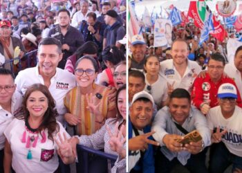 La candidata a la Jefatura de Gobierno, Clara Brugada, prometió durante su campaña en la Alcaldía Coyoacán que de llegar a ser la mandataria de la capital existirán políticas públicas que salvaguarden la vida y el bienestar de perros y gatos. FOTOS: Especial