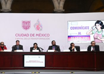 Despenalización del aborto, asunto de salud pública: Brugada