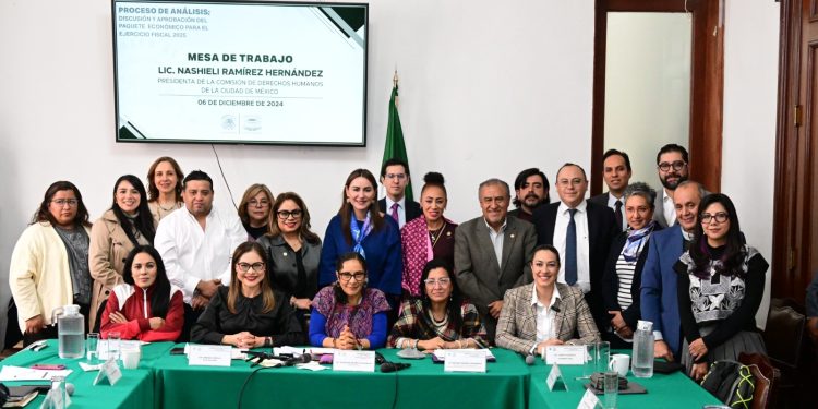 La titular de la CDHCM, Nashieli Ramírez Hernández, señaló que actualmente se cumplen las funciones de la dependencia con medidas de austeridad, como ajustes del personal en alcaldías, el fortalecimiento de la visión de trabajo territorial. FOTO: Especial