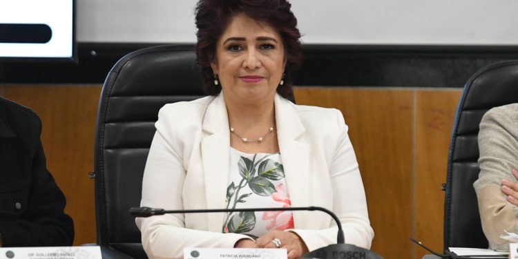 La participación de jóvenes en la política es baja. Casi el 60% de este sector poblacional no participan en los procesos electorales: Patricia Avendaño Durán, consejera presidenta del IECM.