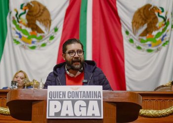 Las grillas pendencieras de su coordinador, Jesús Sesma, ya le trajeron consecuencias delicadas al Partido Verde en la Ciudad de México, lo que le repercute hacia todo el país.