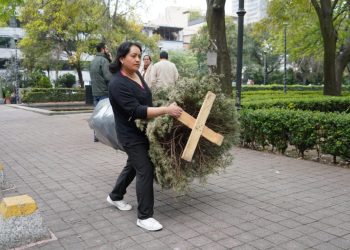 Arranca el reciclaje de árboles de navidad en MH