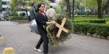 Arranca el reciclaje de árboles de navidad en MH
