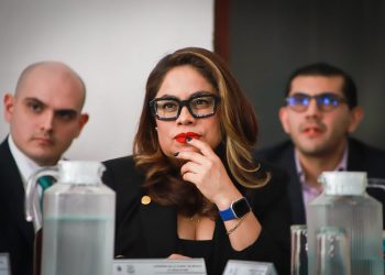 Por ello, explicó la Diputada Montes de Oca, se propone dar mayor atención a las Alcaldías Cuajimalpa de Morelos, Tlalpan, Magdalena Contreras, Álvaro Obregón, Milpa Alta y Xochimilco.