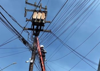 FOTO: Alcaldía Coyoacán