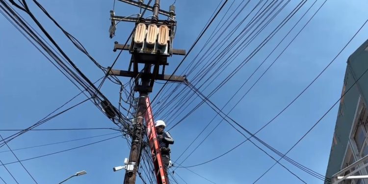 FOTO: Alcaldía Coyoacán