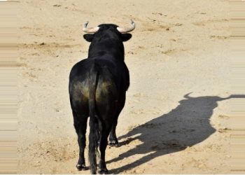 FOTO: Cortesía / Despositphotos