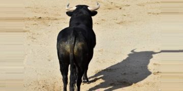 FOTO: Cortesía / Despositphotos