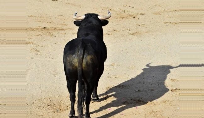 FOTO: Cortesía / Despositphotos