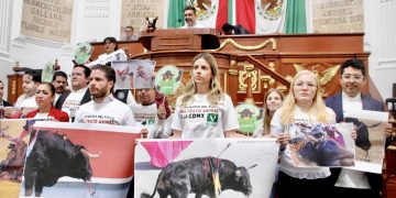 El coordinador del PVEM en el Congreso de la Ciudad de México, Jesús Sesma, aseveró que la aprobación de la reforma que establece las “corridas de toros sin sangre” es el principio del fin del maltrato animal en la capital del país. FOTO: Especial