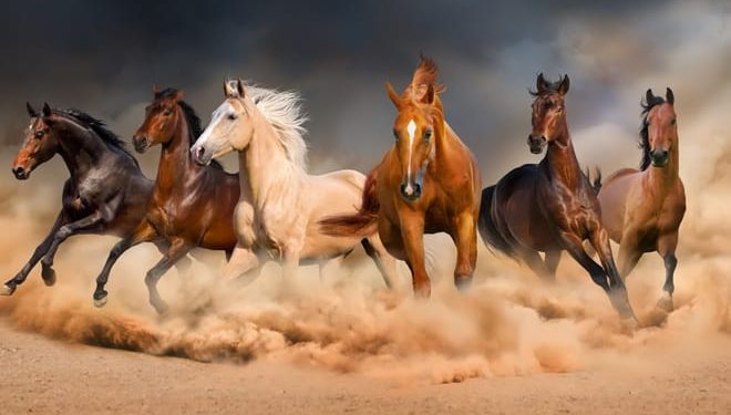Alondra vivía en el último pueblo antes del bosque sin nombre, un rincón del mundo que muchos evitaban y del cual sólo se hablaba en susurros. Tenía doce años, una mirada que parecía contener preguntas sin respuesta, y un colgante antiguo que su abuela le había dejado antes de desaparecer misteriosamente una década atrás. FOTOS: iStockphoto