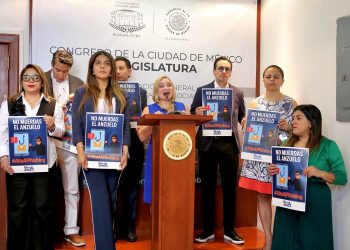 Para dar certeza jurídica, la diputada del PAN, Olivia Garza propuso sanciones que van de los 4 meses hasta los 11 años de prisión para castigar el “phishing”, un delito cometido por ciberdelincuentes, en que las víctimas más frecuentes son los adultos mayores. FOTO: Especial