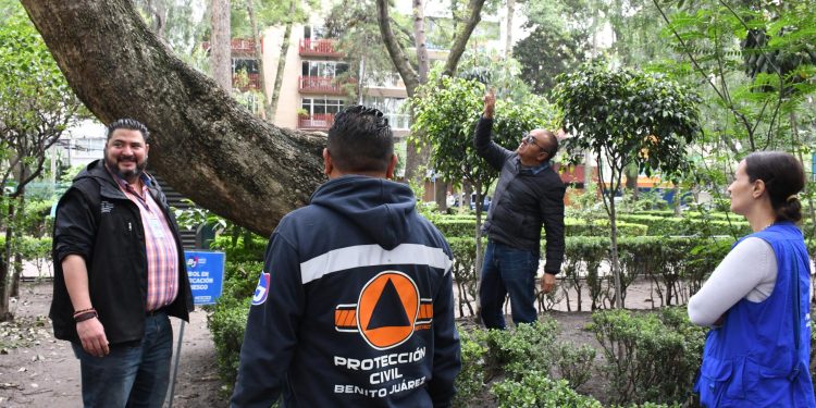 Con el objetivo de prevenir incidentes durante la temporada de lluvias y proteger la integridad de vecinos y visitantes, la alcaldía Benito Juárez, por instrucciones del alcalde Luis Mendoza, dio inicio a la verificación del arbolado en riesgo en el Parque Pascual Ortiz Rubio en la colonia del Valle. FOTO: Especial