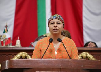 Alcaldías y GCDMX no respetan plazas laborales para discapacitados: Liz Salgado