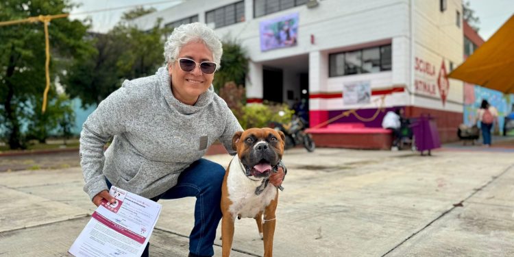A través de acciones que fomenten la tenencia responsable de mascotas, la Alcaldía de Tláhuac arrancó con la Mega Jornada de Esterilización Canina y Felina, donde se espera superar las 200 intervenciones por día. FOTO: Especial
