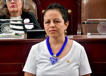 La diputada del PAN Liz Salgado acusó que en el tema de la inclusión a las personas con discapacidad hay mucho camino por recorrer, pues ni las autoridades del Gobierno de la Ciudad de México cumplen el mínimo del 8% de personas con discapacidad que por ley deben ser incluidos en la plantilla de Capital Humano. FOTO: Especial