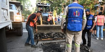 Trabajadoras y trabajadores de todas las áreas del Gobierno que encabeza Alessandra Rojo de la Vega, llevaron a cabo labores de mantenimiento del espacio público en la colonia Juárez, como parte de una nueva edición de 'Limpia Cuauhtémoc'. FOTOS: Especial