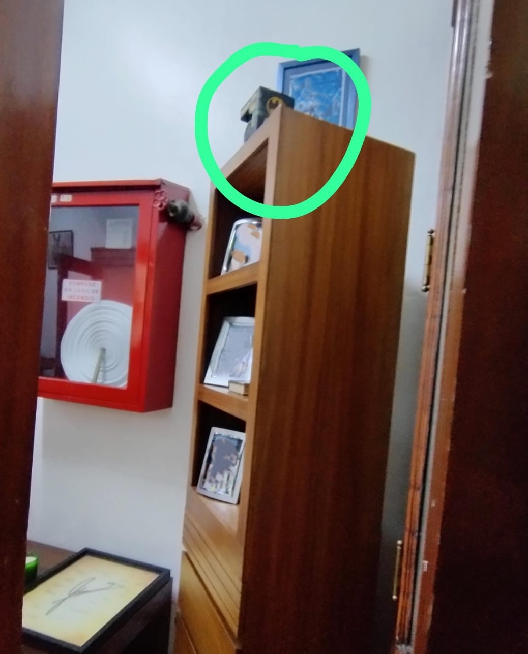 En la oficina de la Presidencia del Congreso, Sesma tiene un pequeño muñeco de Batman, en una ubicación destacada: arribita de sus fotos personales.