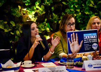 La presidenta del PAN en la Ciudad de México, Luisa Gutiérrez dijo que priorizarán, las causas ciudadanas y no las alianzas con otros partidos políticos. FOTO: Especial